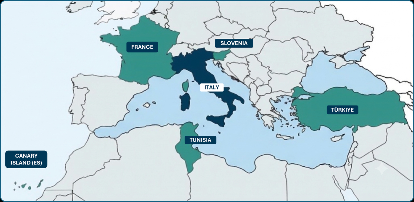 Map of WORMSOUT PLUS partner countries