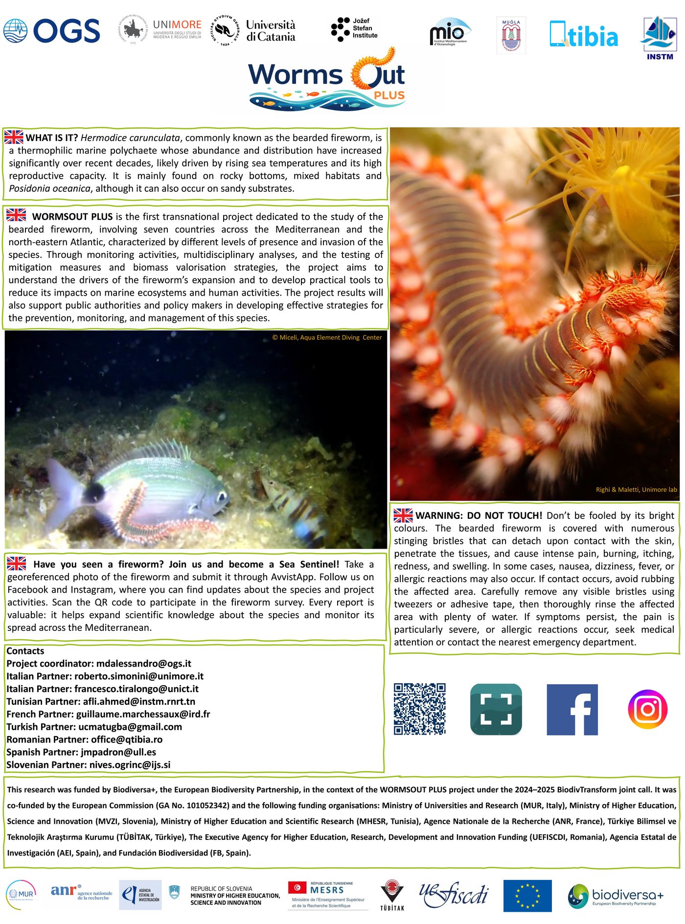 WORMSOUT PLUS project summary poster