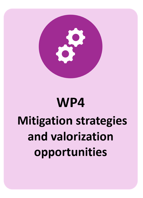 WP4 - Mitigation strategies and valorization opportunities